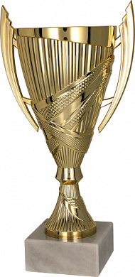 Кубок 8300 C h- 25,5 см d-100