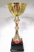 Кубок GD 2206 C h-30 см d-120 мм