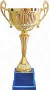 Кубок 594 B h-53.5 см d-200 мм